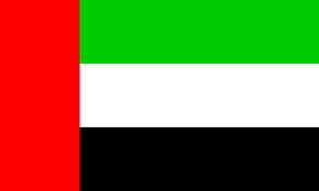 United Arab Emirates - Pro League